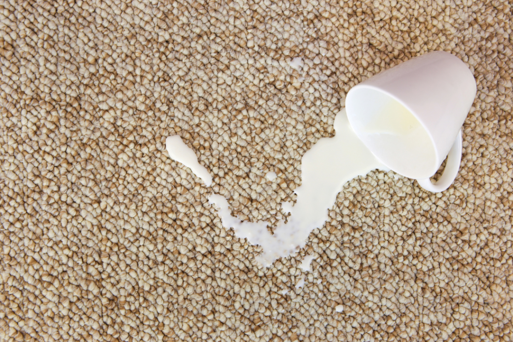 Top 5 Carpet Stains and How to Remove Them Effectively hero image